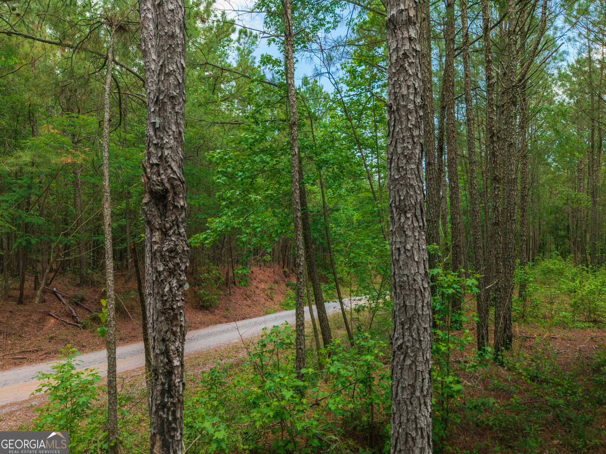 0 Old Haul Road Dry Branch GA 31020