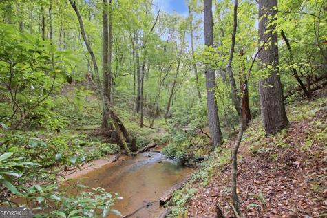 1582 Jennys Cove Road Cleveland GA 30528