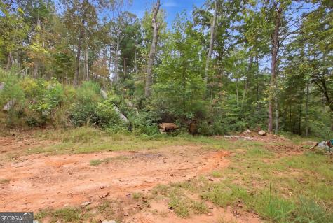 1582 Jennys Cove Road Cleveland GA 30528