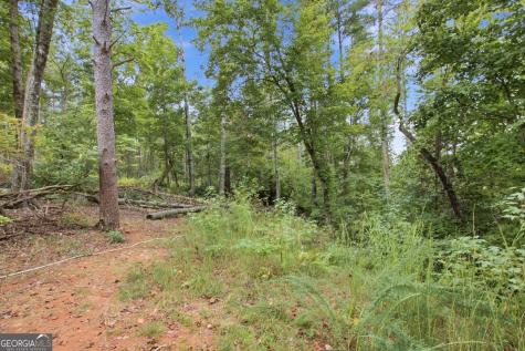 1582 Jennys Cove Road Cleveland GA 30528