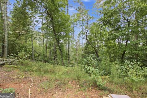 1582 Jennys Cove Road Cleveland GA 30528