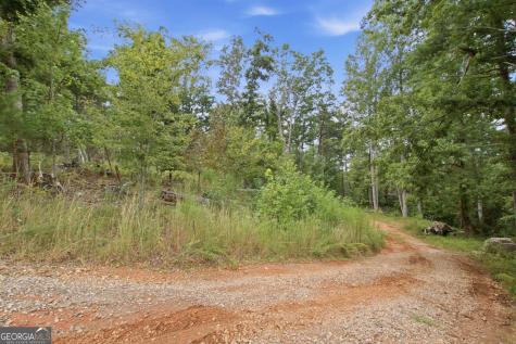 1582 Jennys Cove Road Cleveland GA 30528