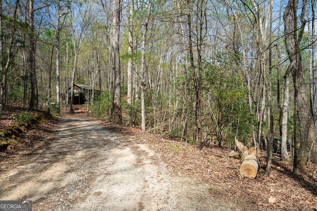 94 Cherry Lake Court Blue Ridge GA 30513