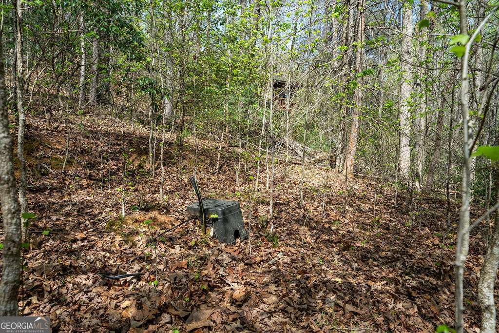 94 Cherry Lake Court Blue Ridge GA 30513