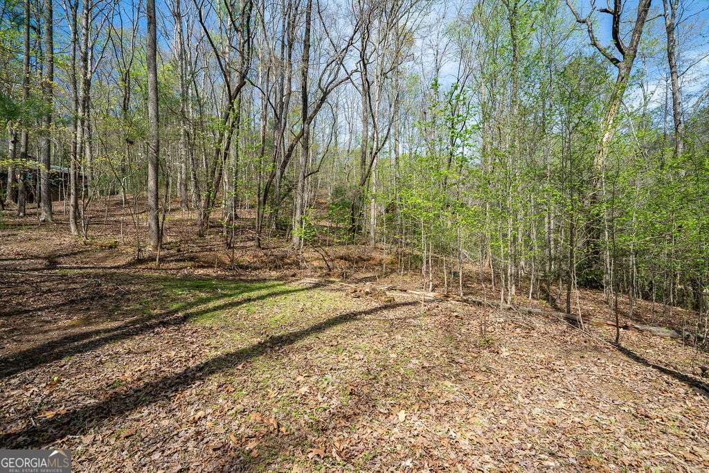 94 Cherry Lake Court Blue Ridge GA 30513