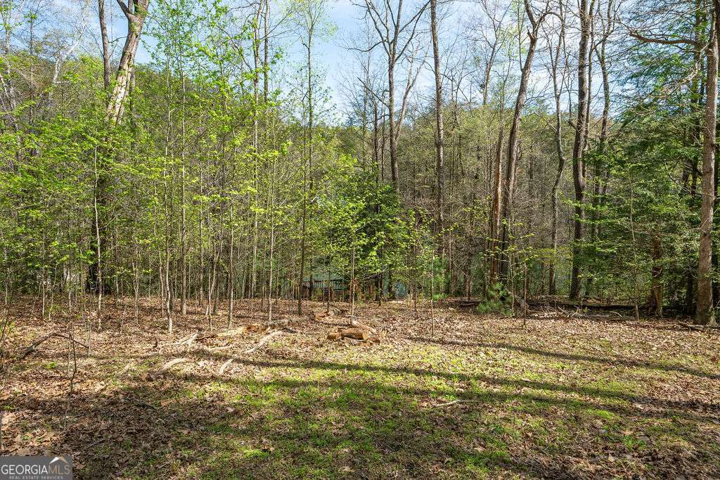 94 Cherry Lake Court Blue Ridge GA 30513
