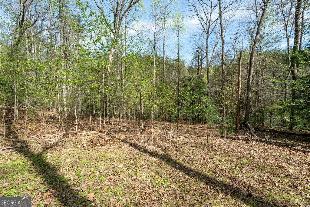 94 Cherry Lake Court Blue Ridge GA 30513