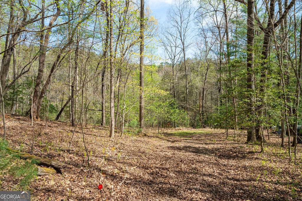 94 Cherry Lake Court Blue Ridge GA 30513