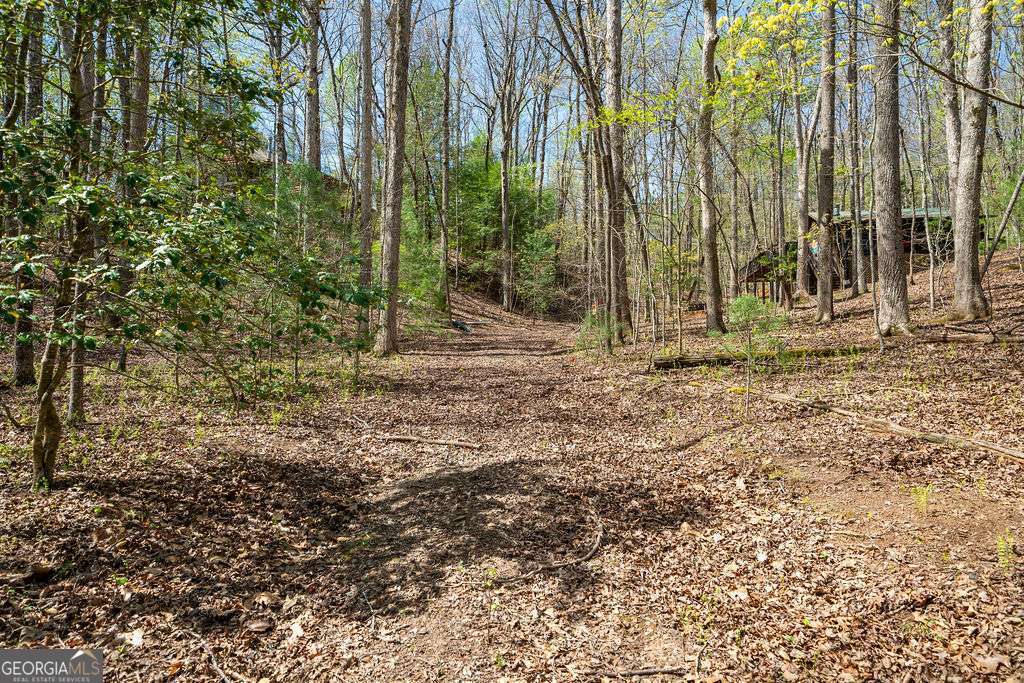 94 Cherry Lake Court Blue Ridge GA 30513