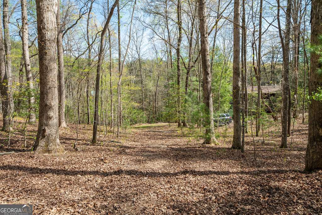 94 Cherry Lake Court Blue Ridge GA 30513
