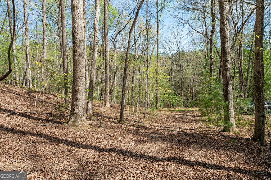 94 Cherry Lake Court Blue Ridge GA 30513