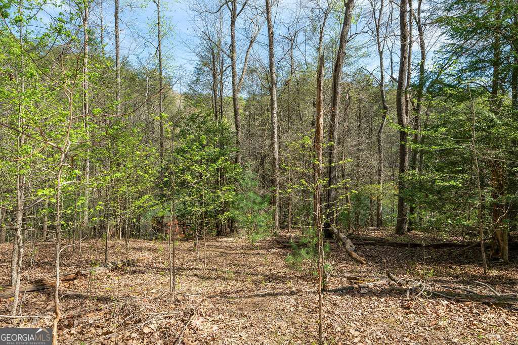 94 Cherry Lake Court Blue Ridge GA 30513