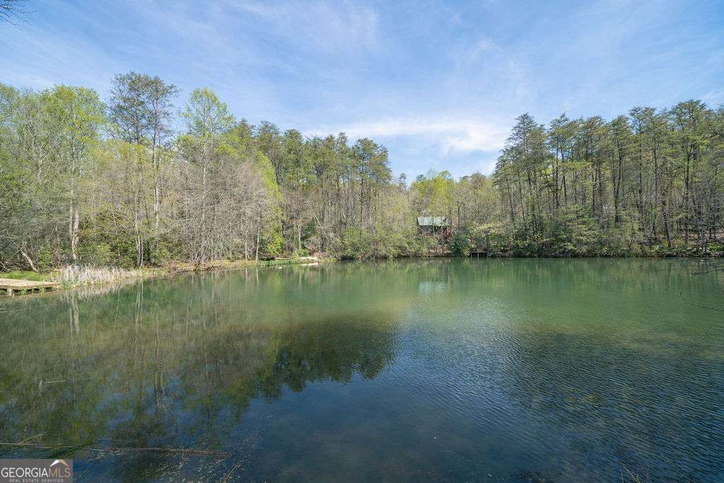 94 Cherry Lake Court Blue Ridge GA 30513