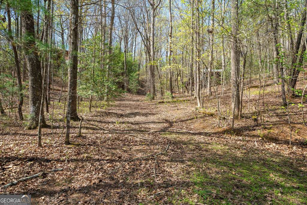 94 Cherry Lake Court Blue Ridge GA 30513