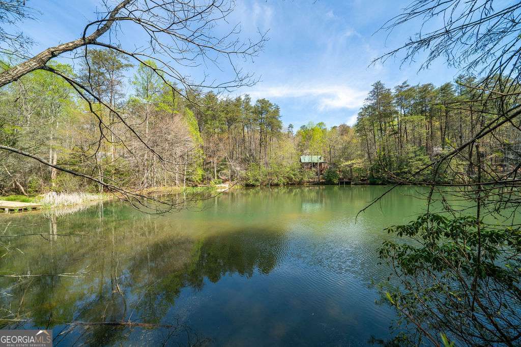 94 Cherry Lake Court Blue Ridge GA 30513