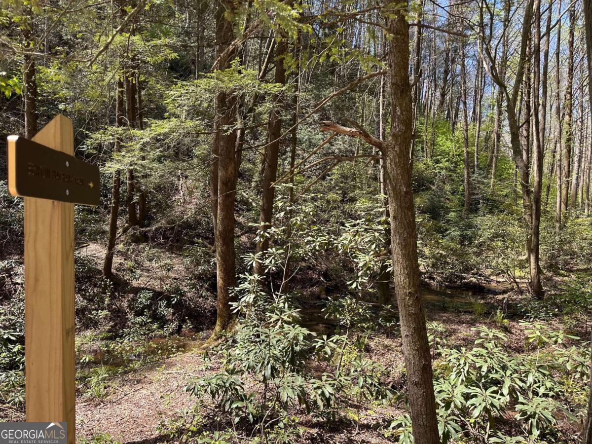 94 Cherry Lake Court Blue Ridge GA 30513