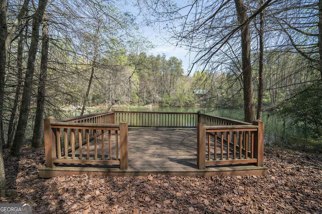 94 Cherry Lake Court Blue Ridge GA 30513