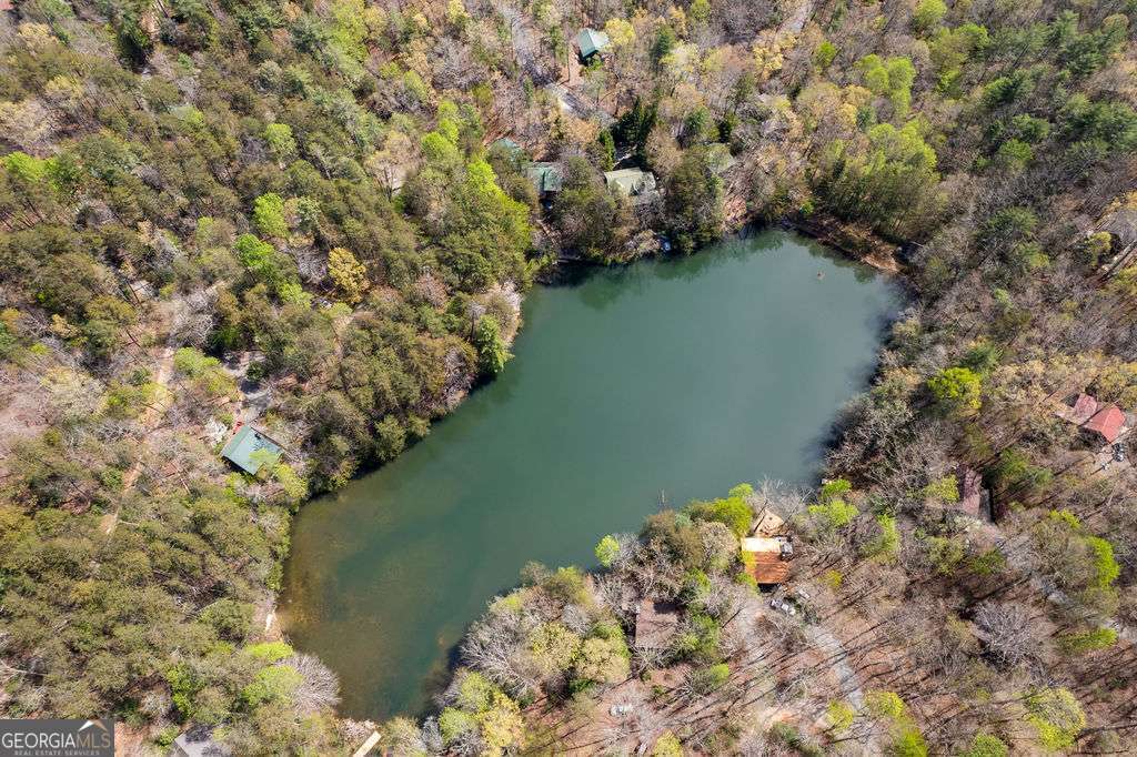 94 Cherry Lake Court Blue Ridge GA 30513