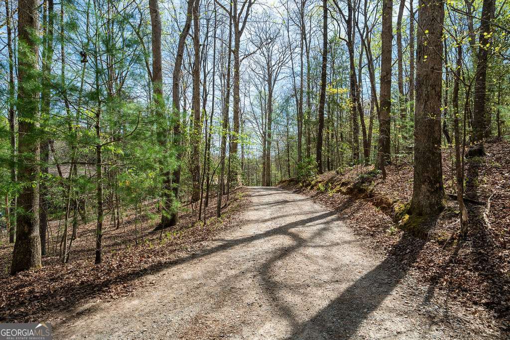 94 Cherry Lake Court Blue Ridge GA 30513