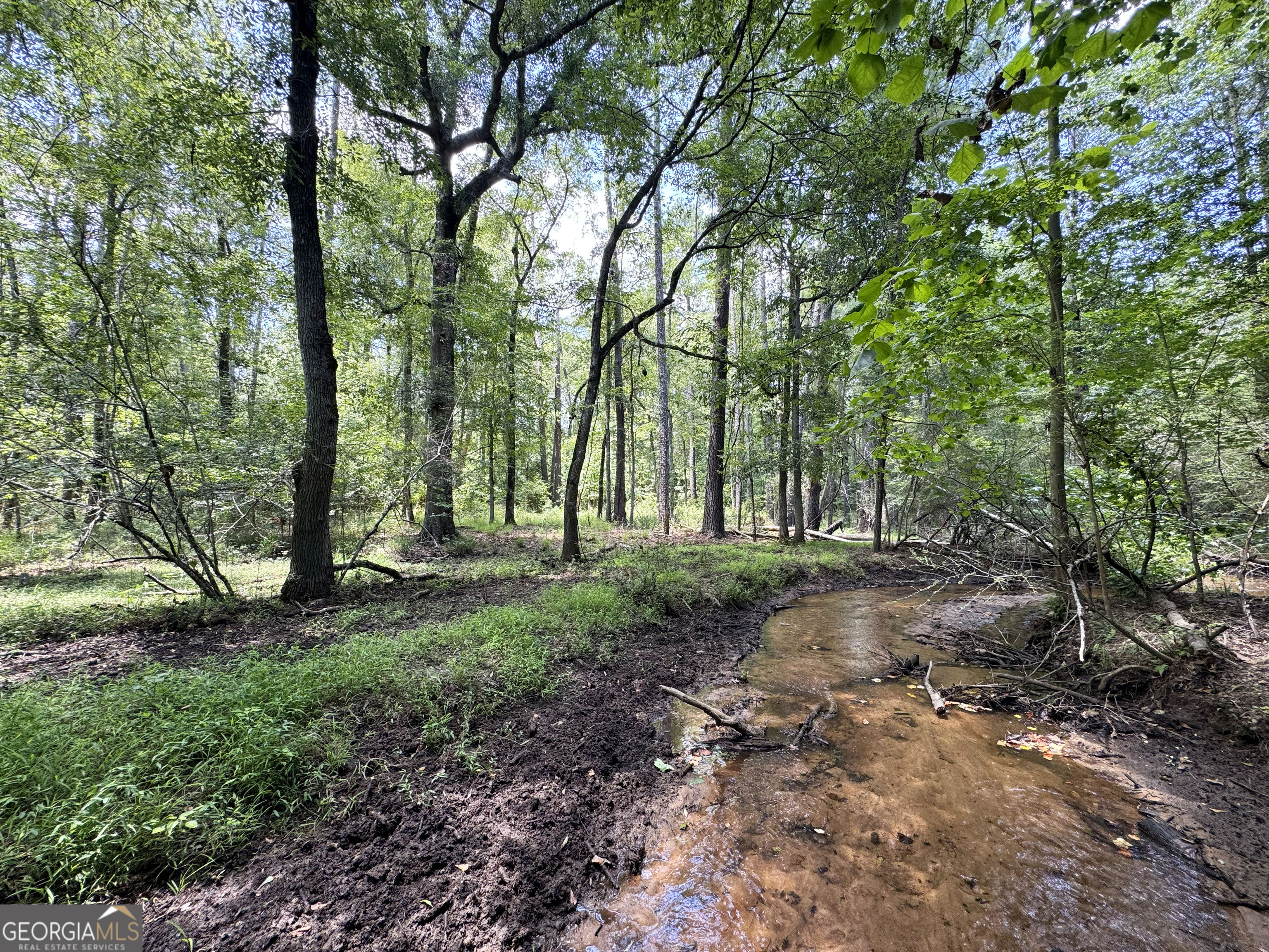 0 Wooten Road Cuthbert GA 39840
