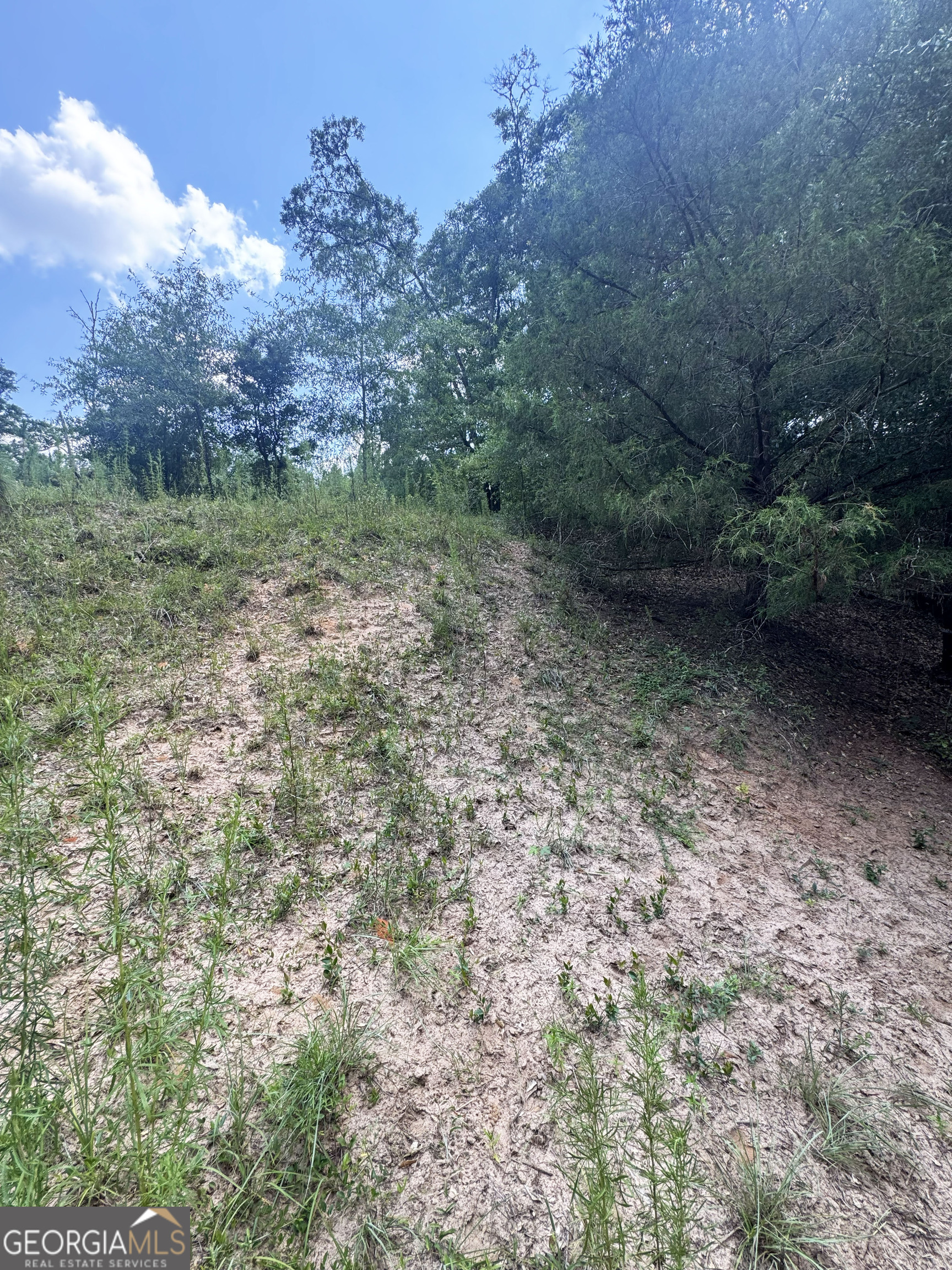 0 Wooten Road Cuthbert GA 39840