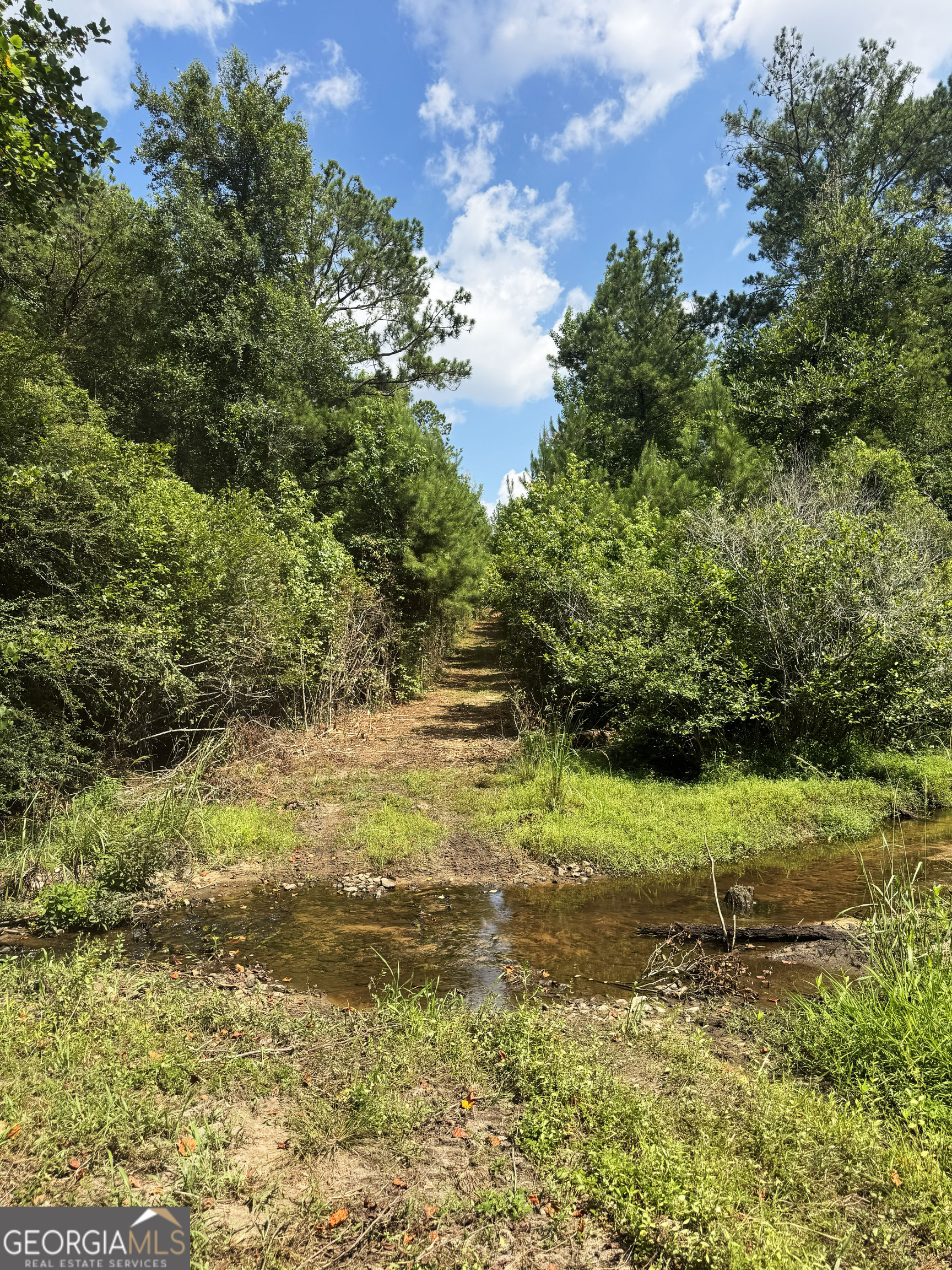 0 Wooten Road Cuthbert GA 39840