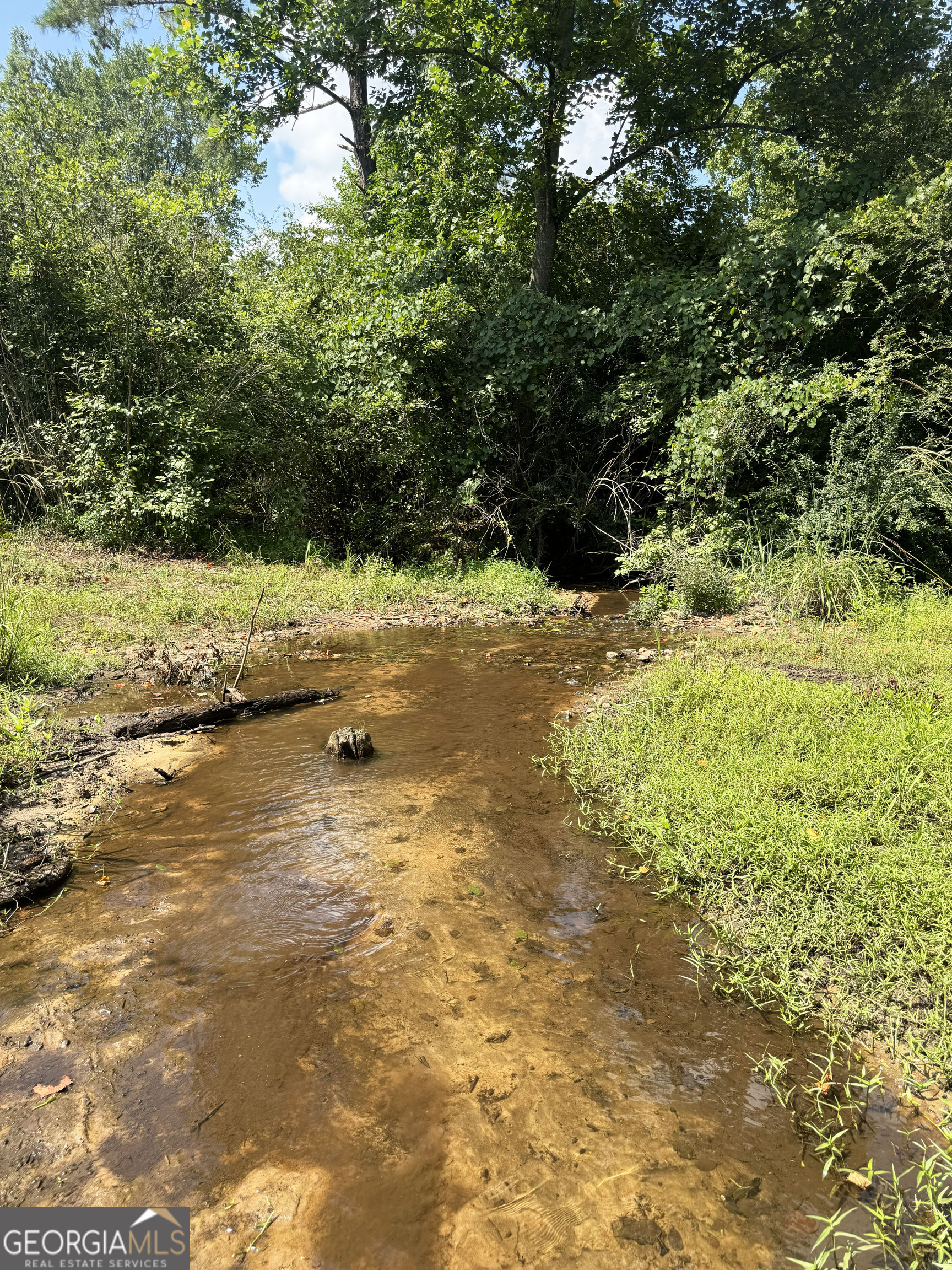 0 Wooten Road Cuthbert GA 39840