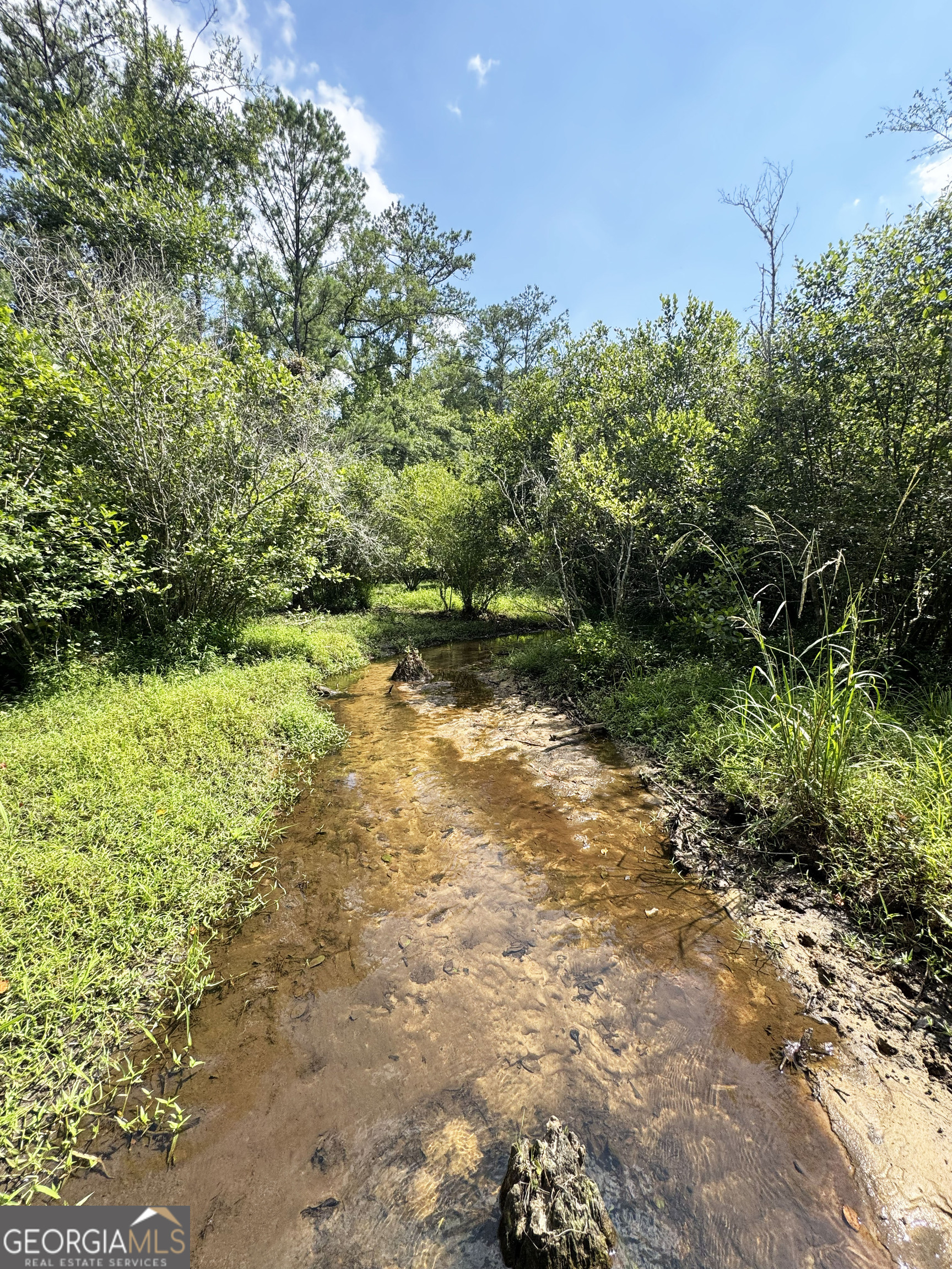 0 Wooten Road Cuthbert GA 39840