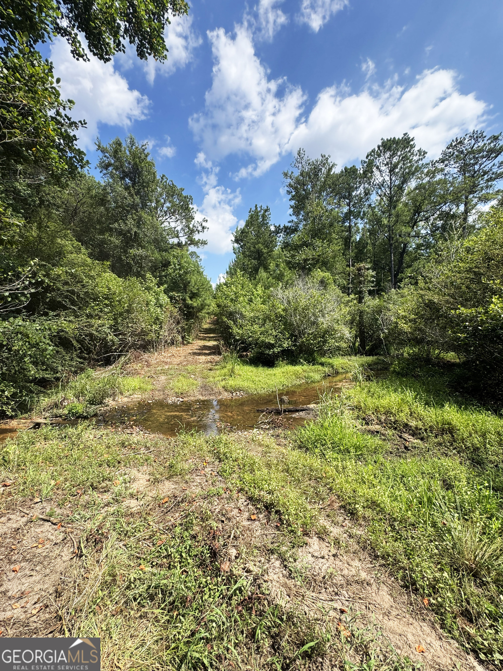 0 Wooten Road Cuthbert GA 39840