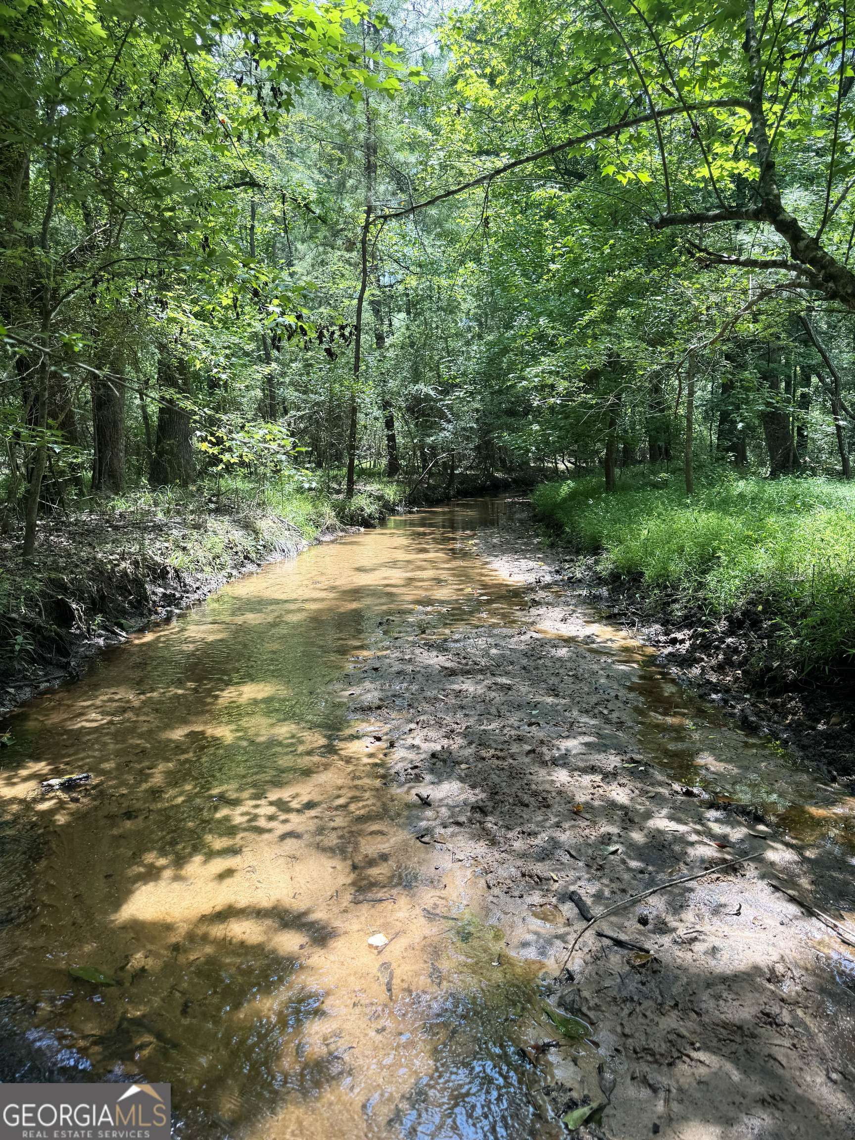 0 Wooten Road Cuthbert GA 39840