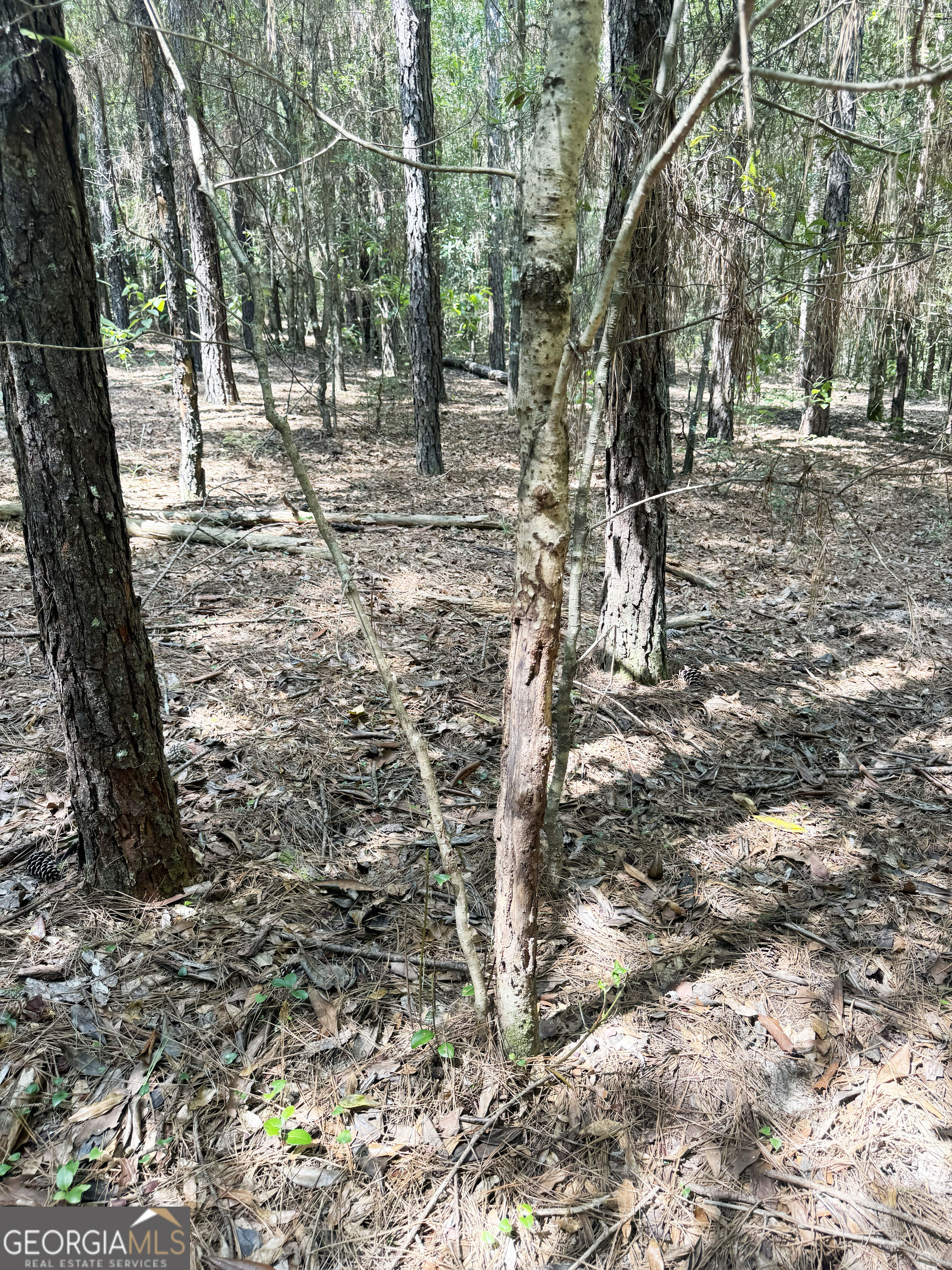 0 Wooten Road Cuthbert GA 39840