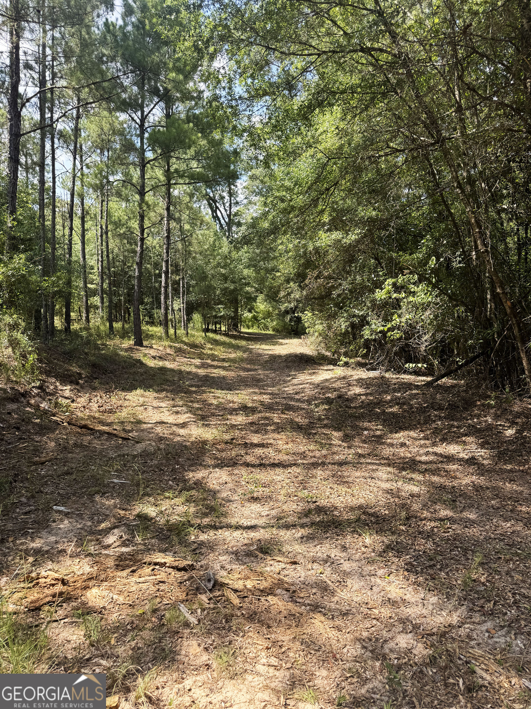0 Wooten Road Cuthbert GA 39840