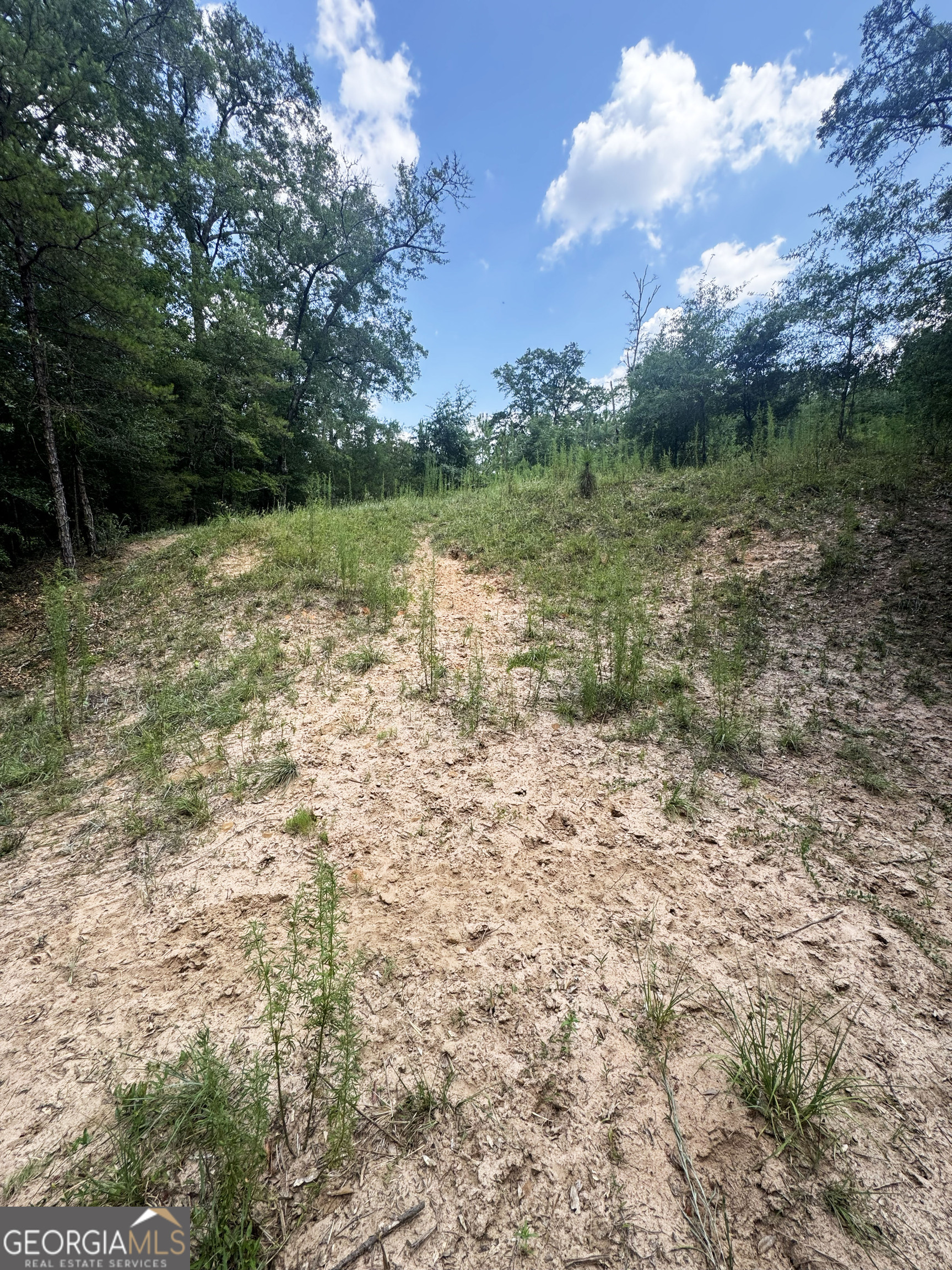 0 Wooten Road Cuthbert GA 39840