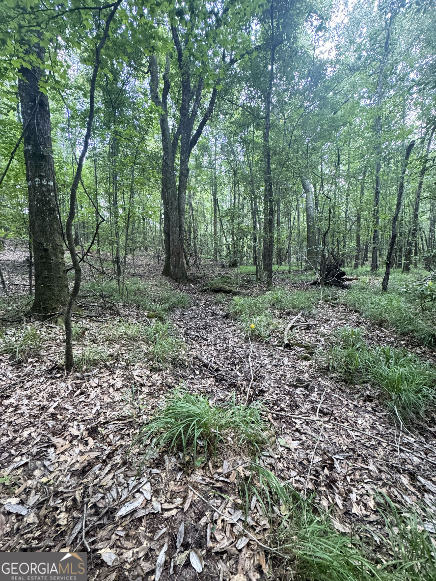 0 Wooten Road Cuthbert GA 39840
