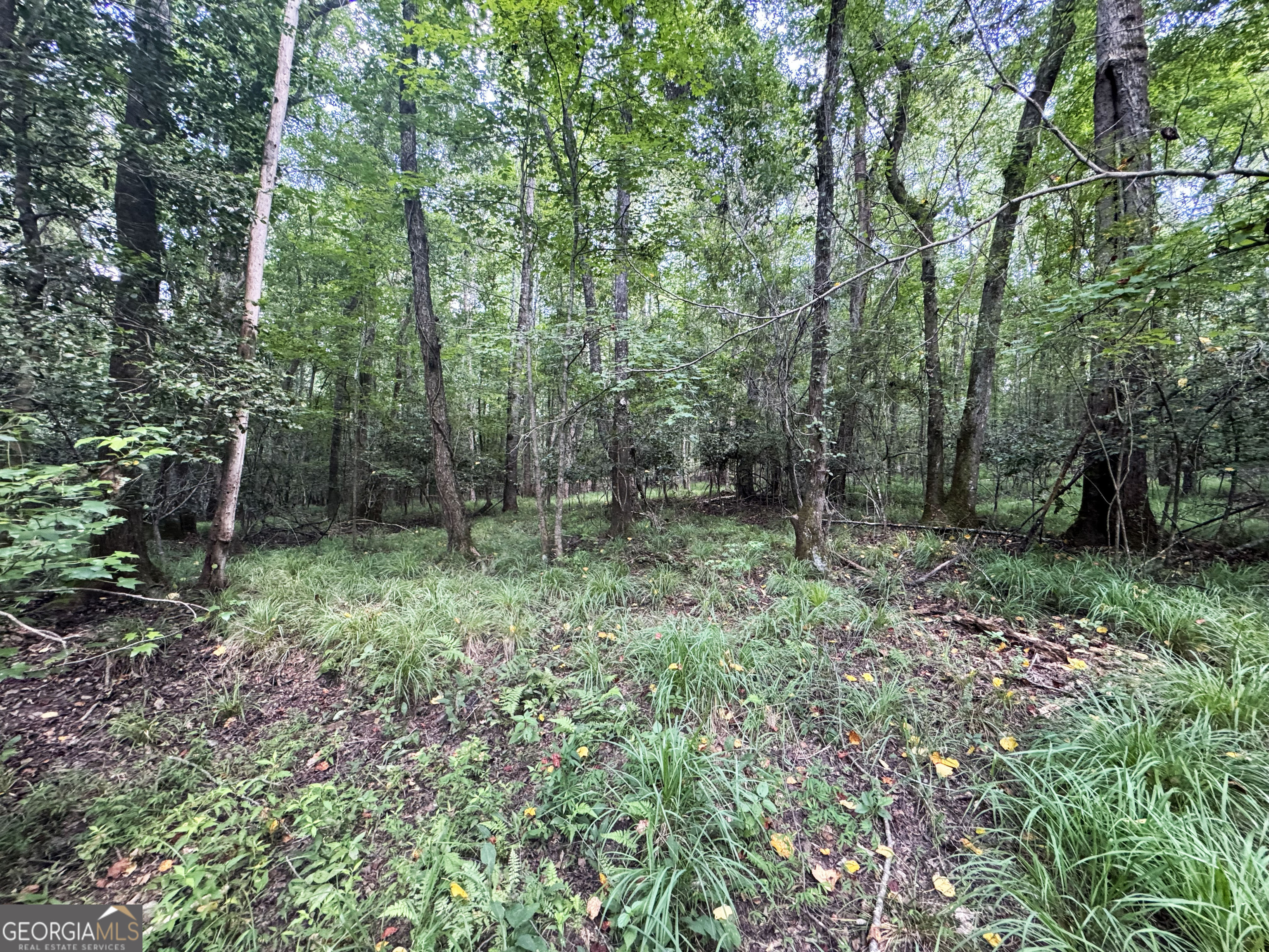 0 Wooten Road Cuthbert GA 39840
