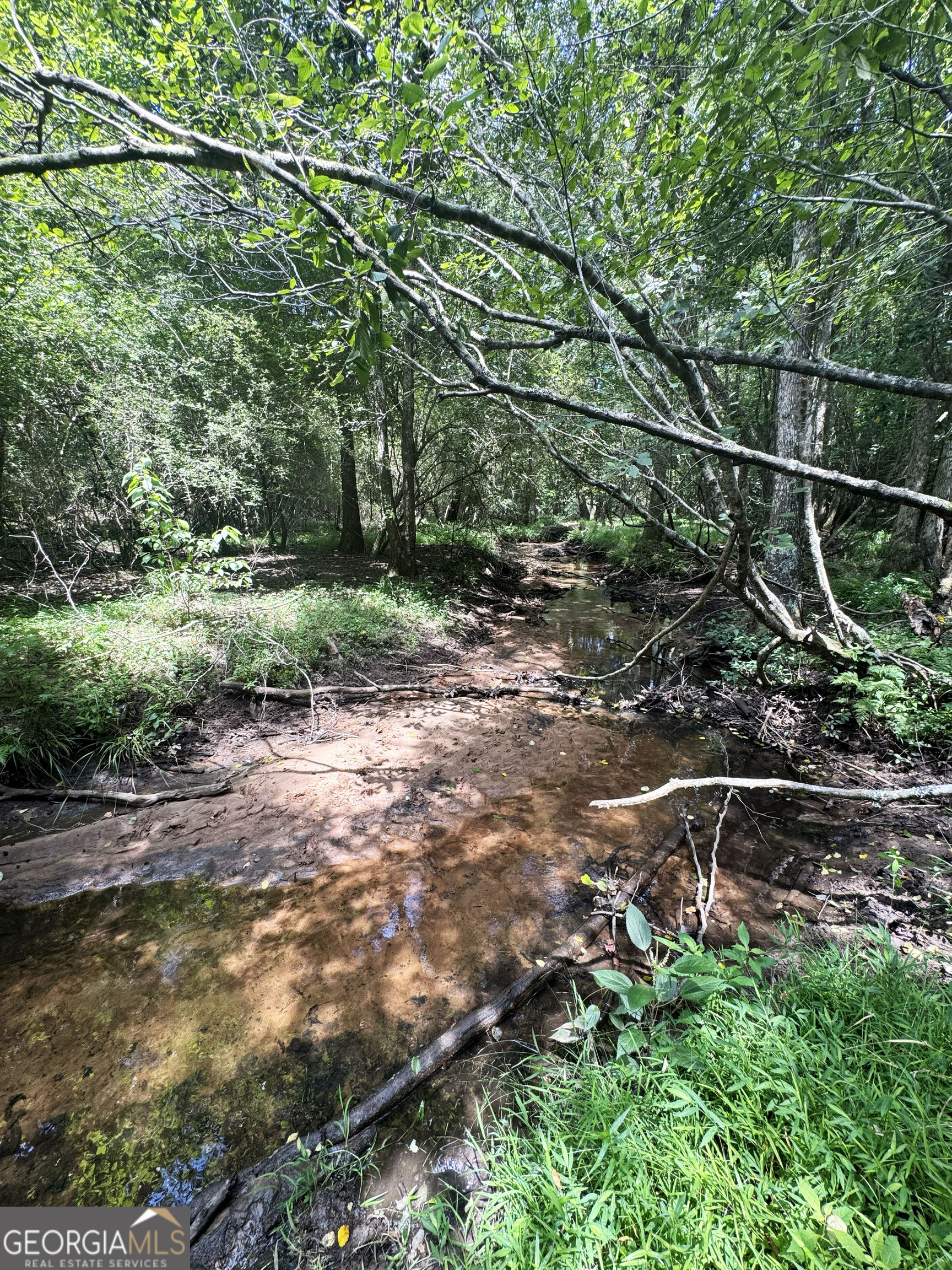 0 Wooten Road Cuthbert GA 39840
