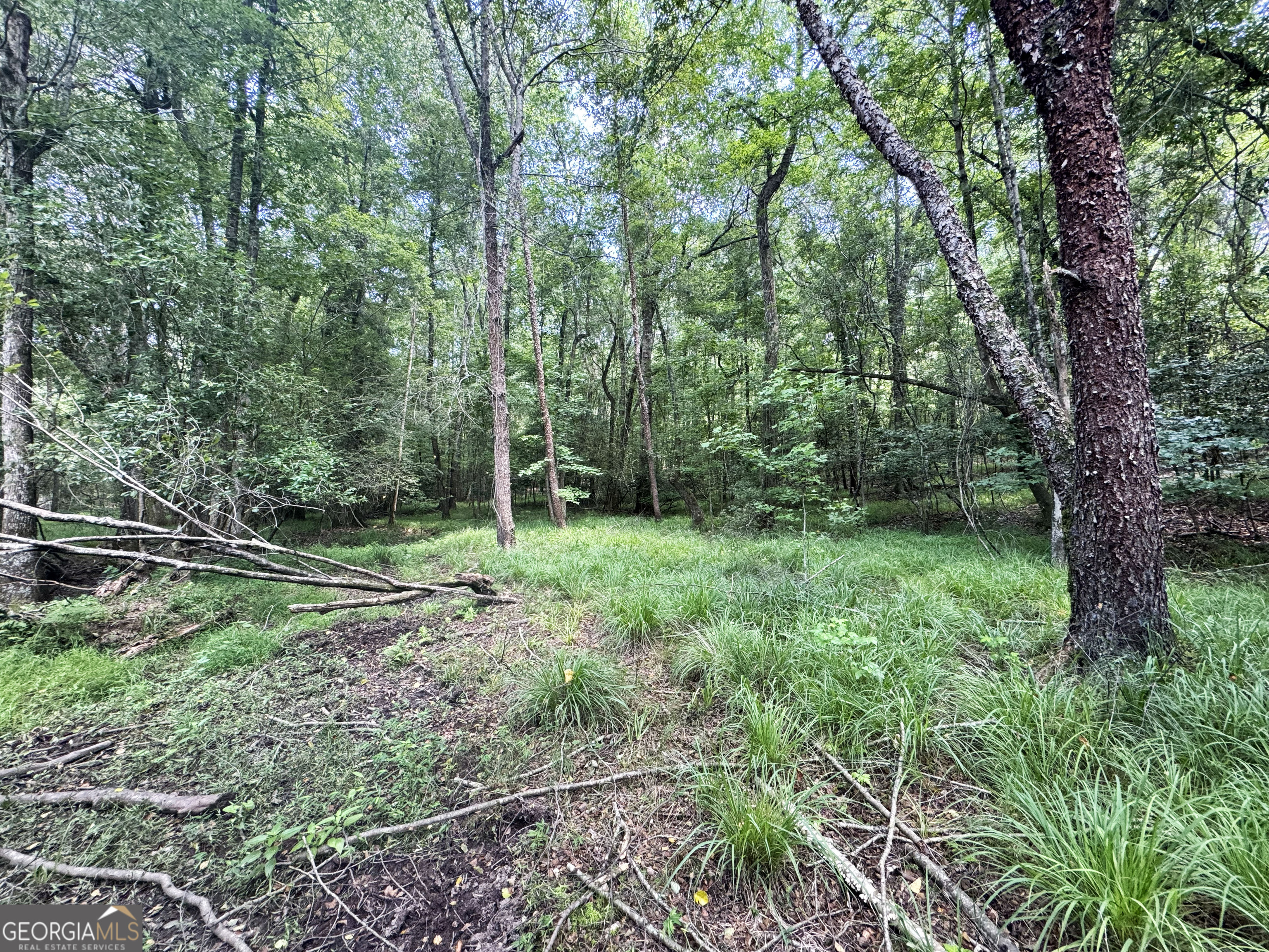 0 Wooten Road Cuthbert GA 39840