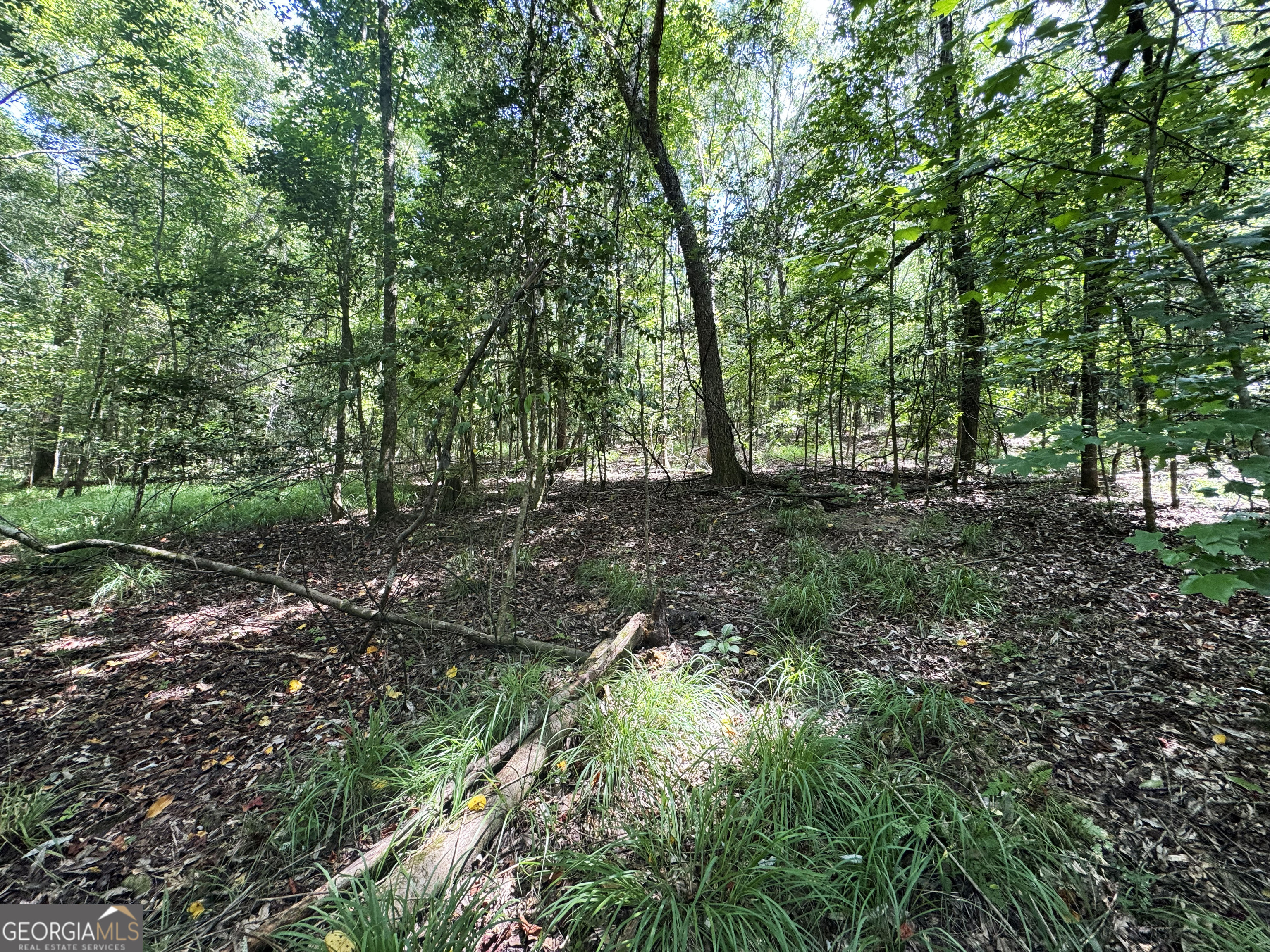 0 Wooten Road Cuthbert GA 39840