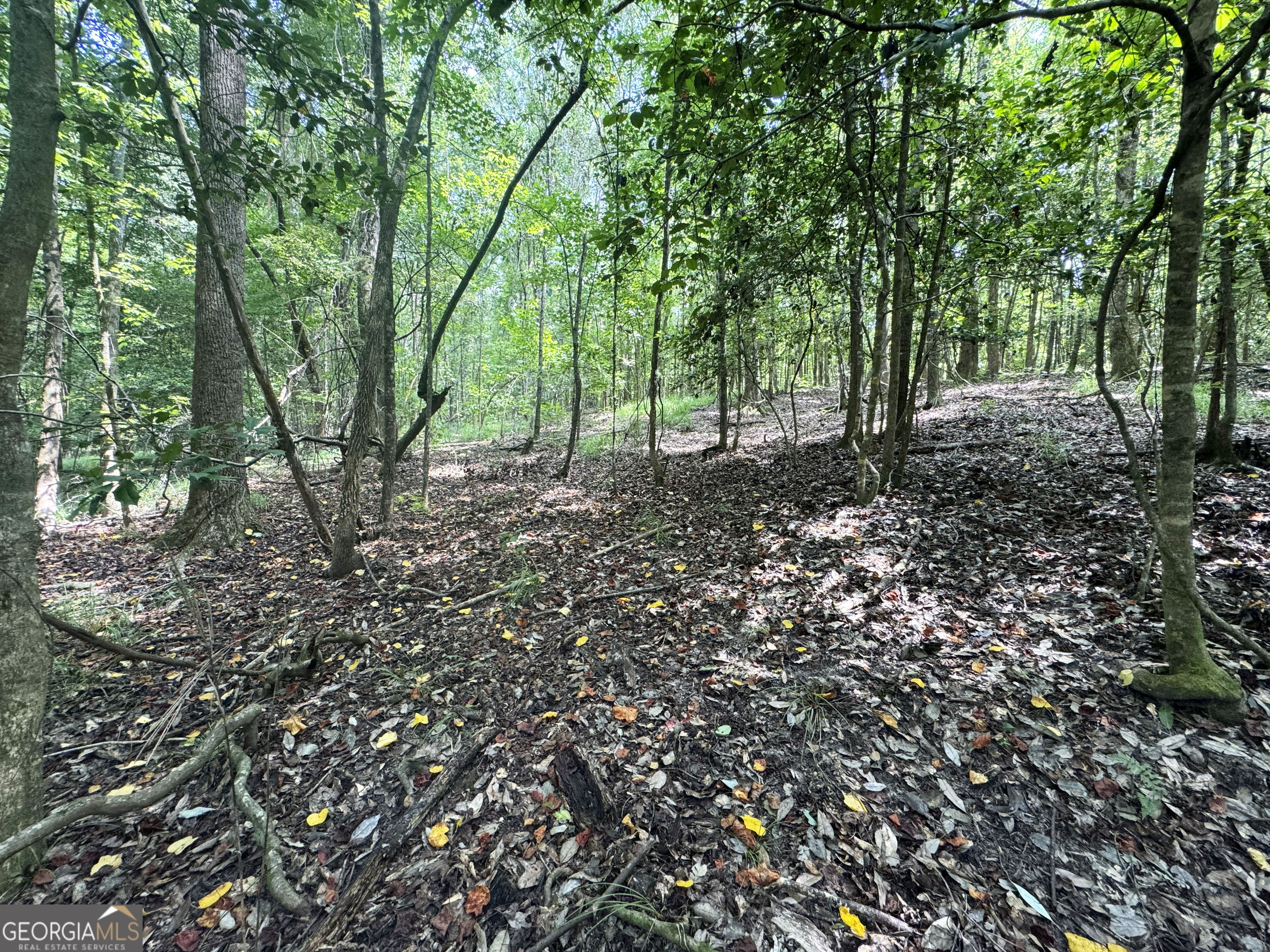 0 Wooten Road Cuthbert GA 39840