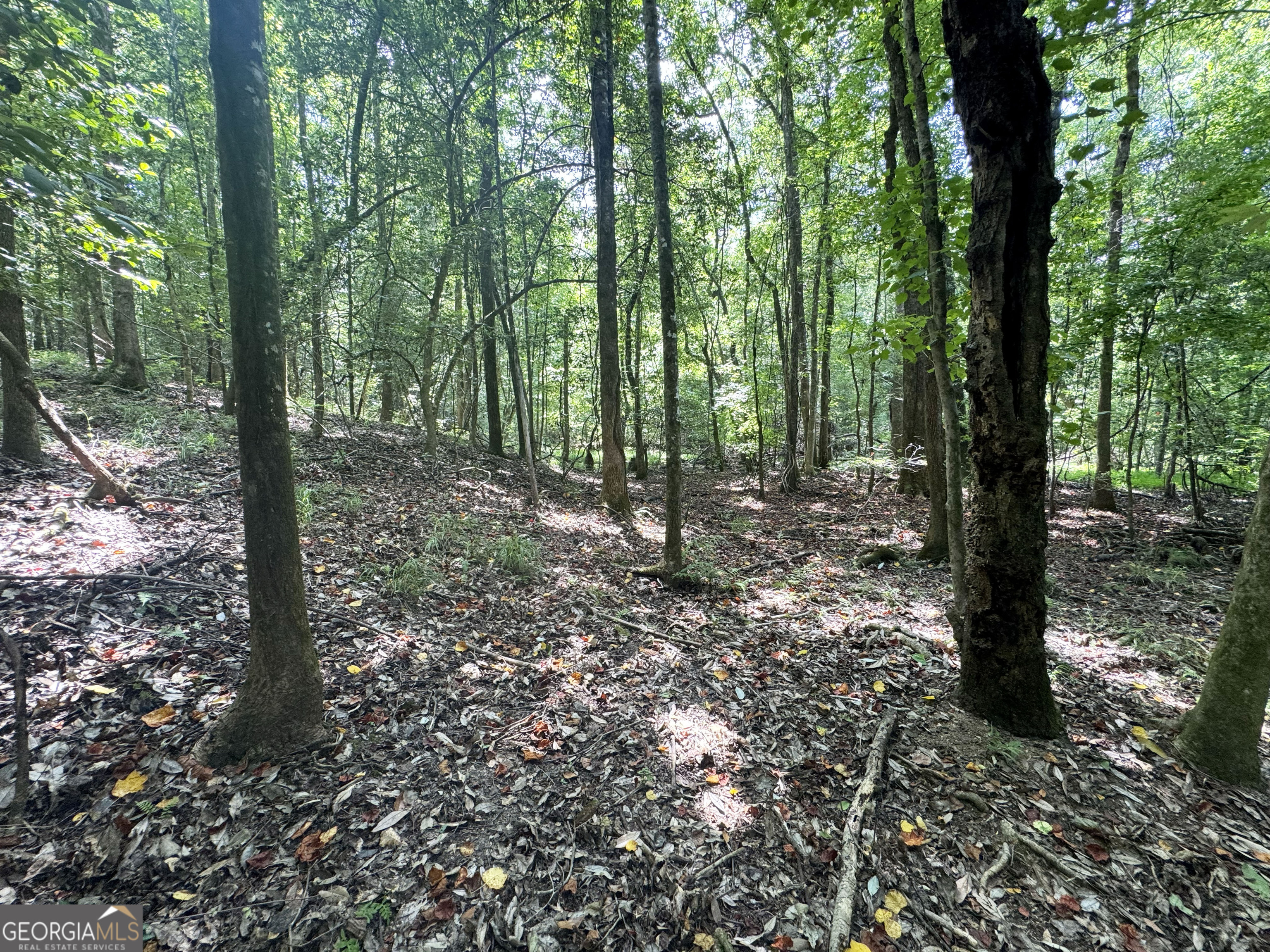 0 Wooten Road Cuthbert GA 39840