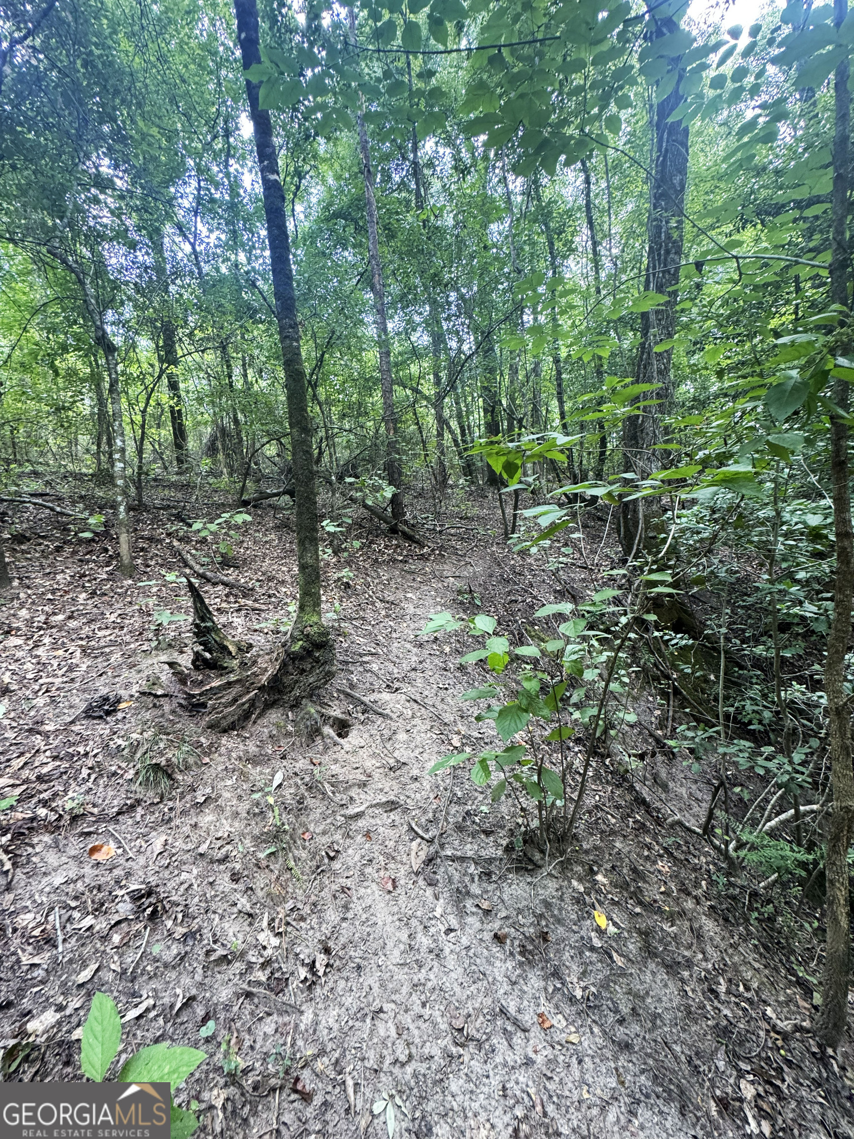 0 Wooten Road Cuthbert GA 39840