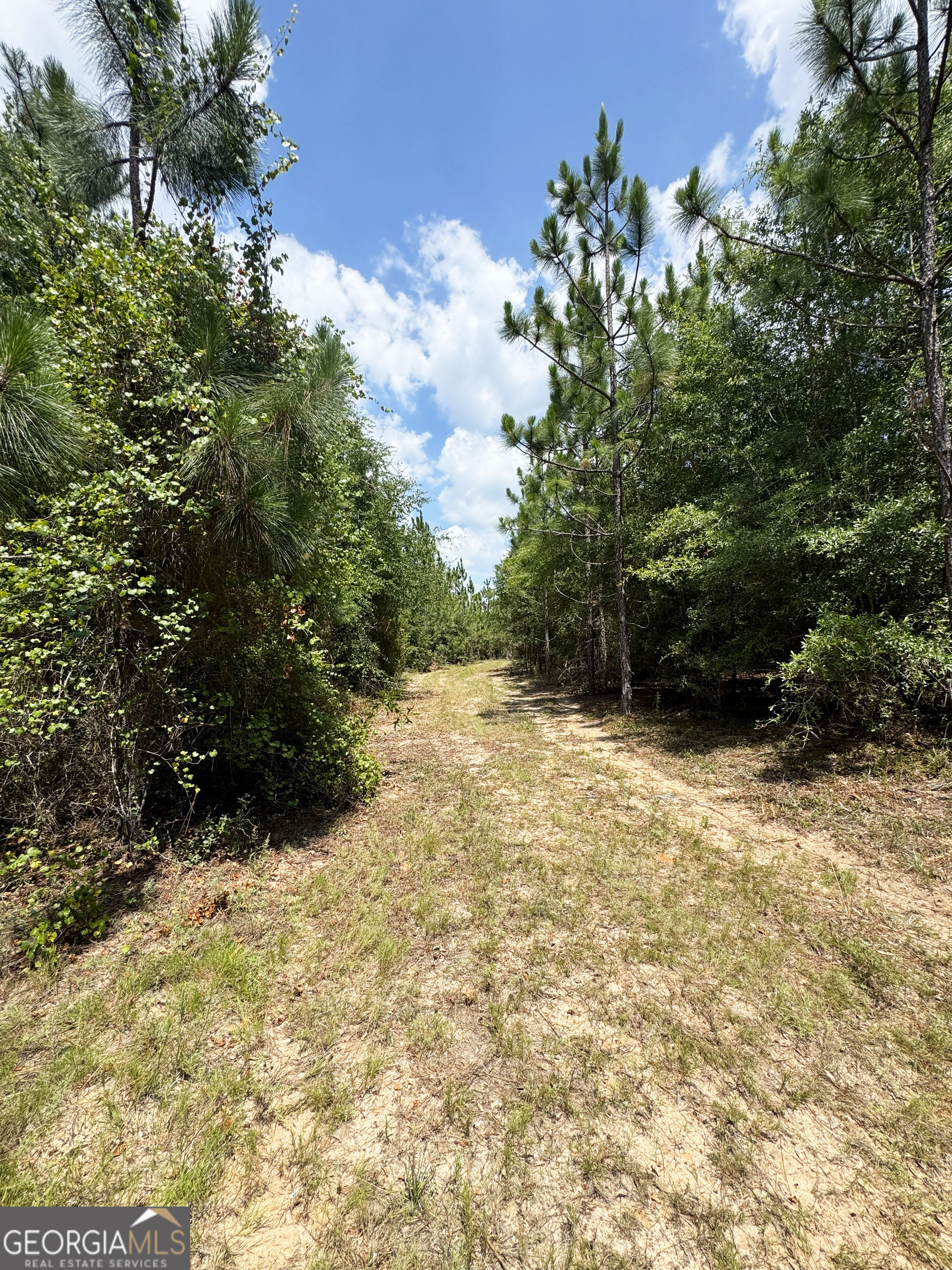 0 Wooten Road Cuthbert GA 39840