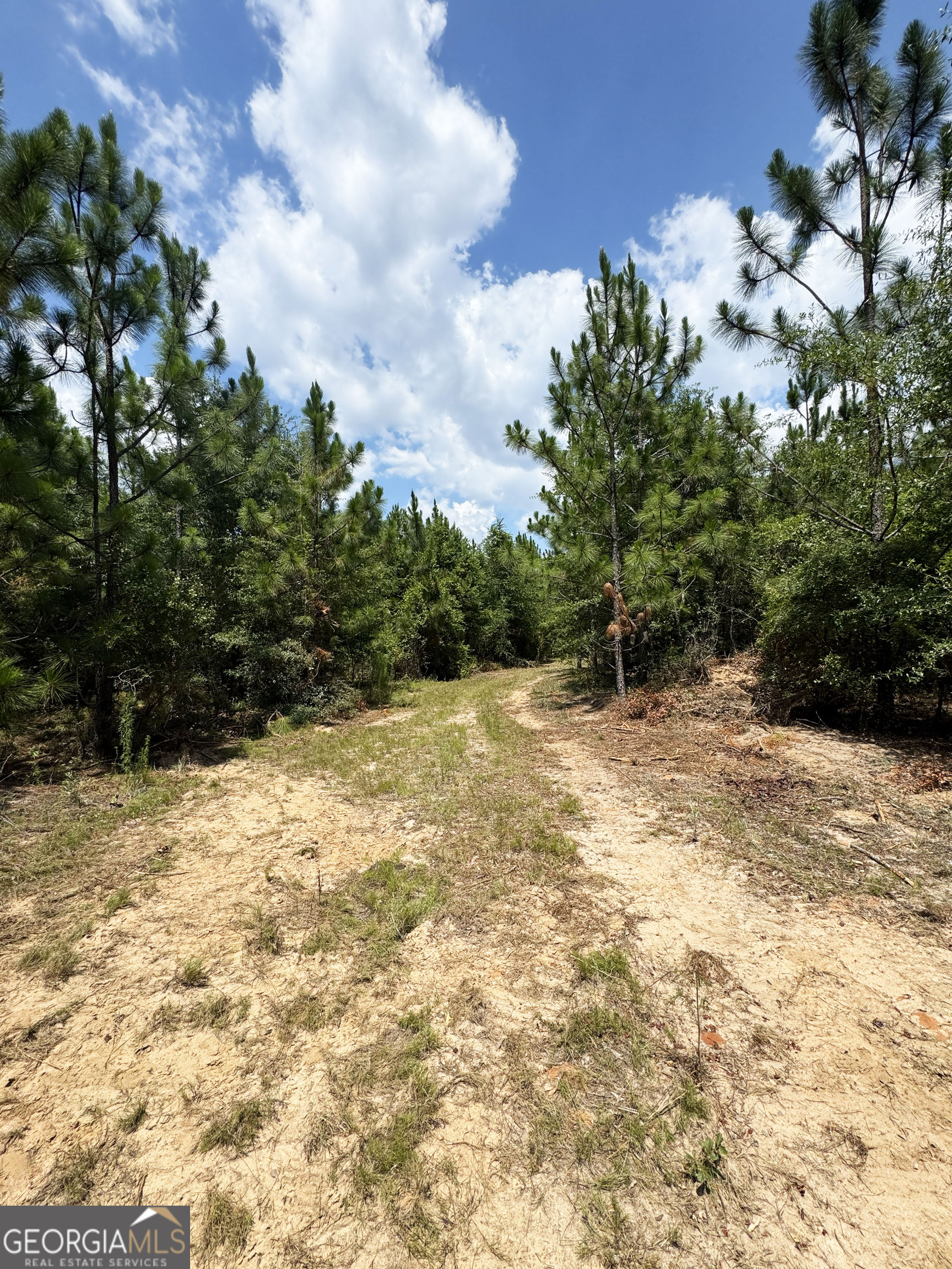 0 Wooten Road Cuthbert GA 39840
