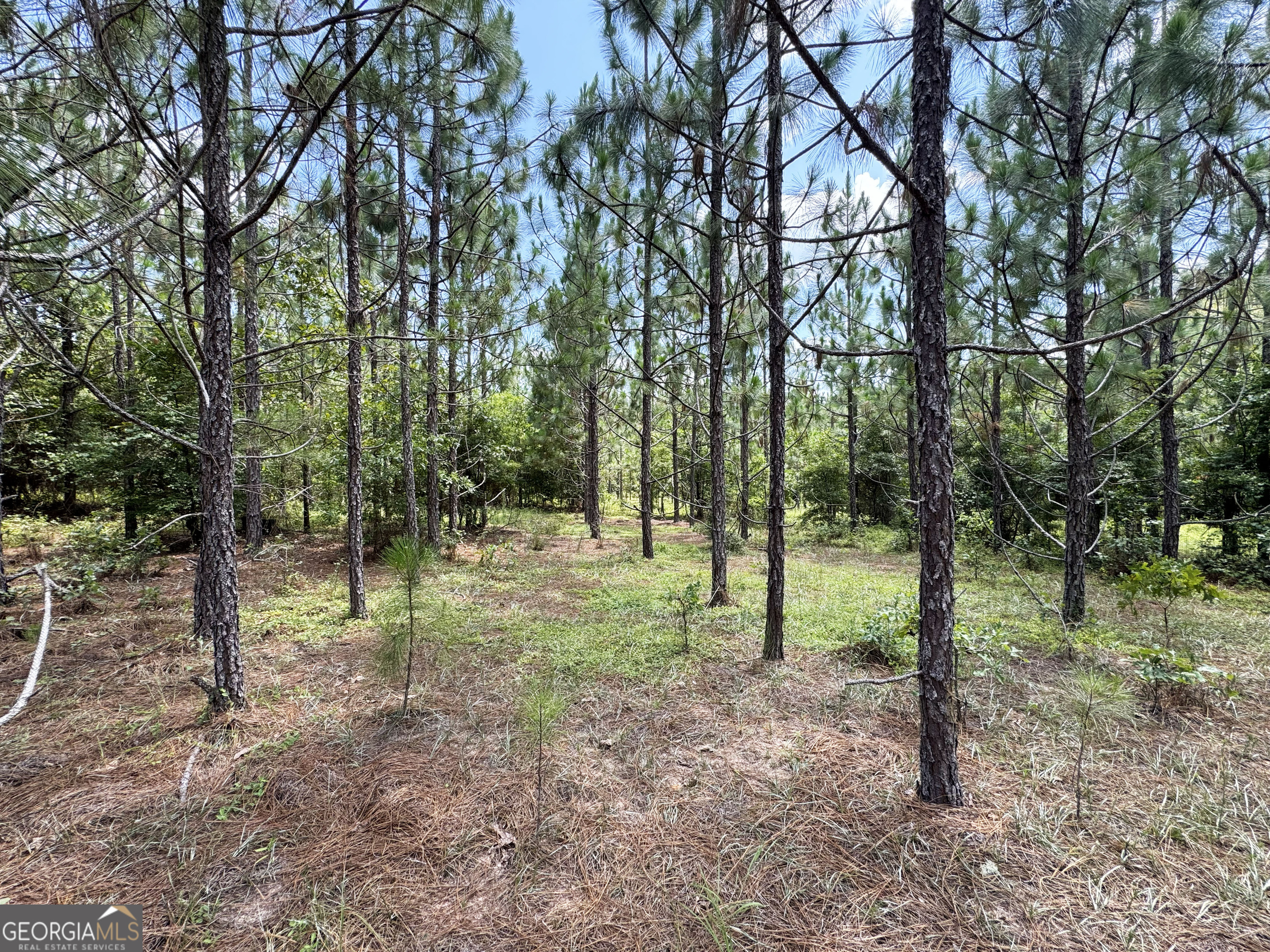 0 Wooten Road Cuthbert GA 39840