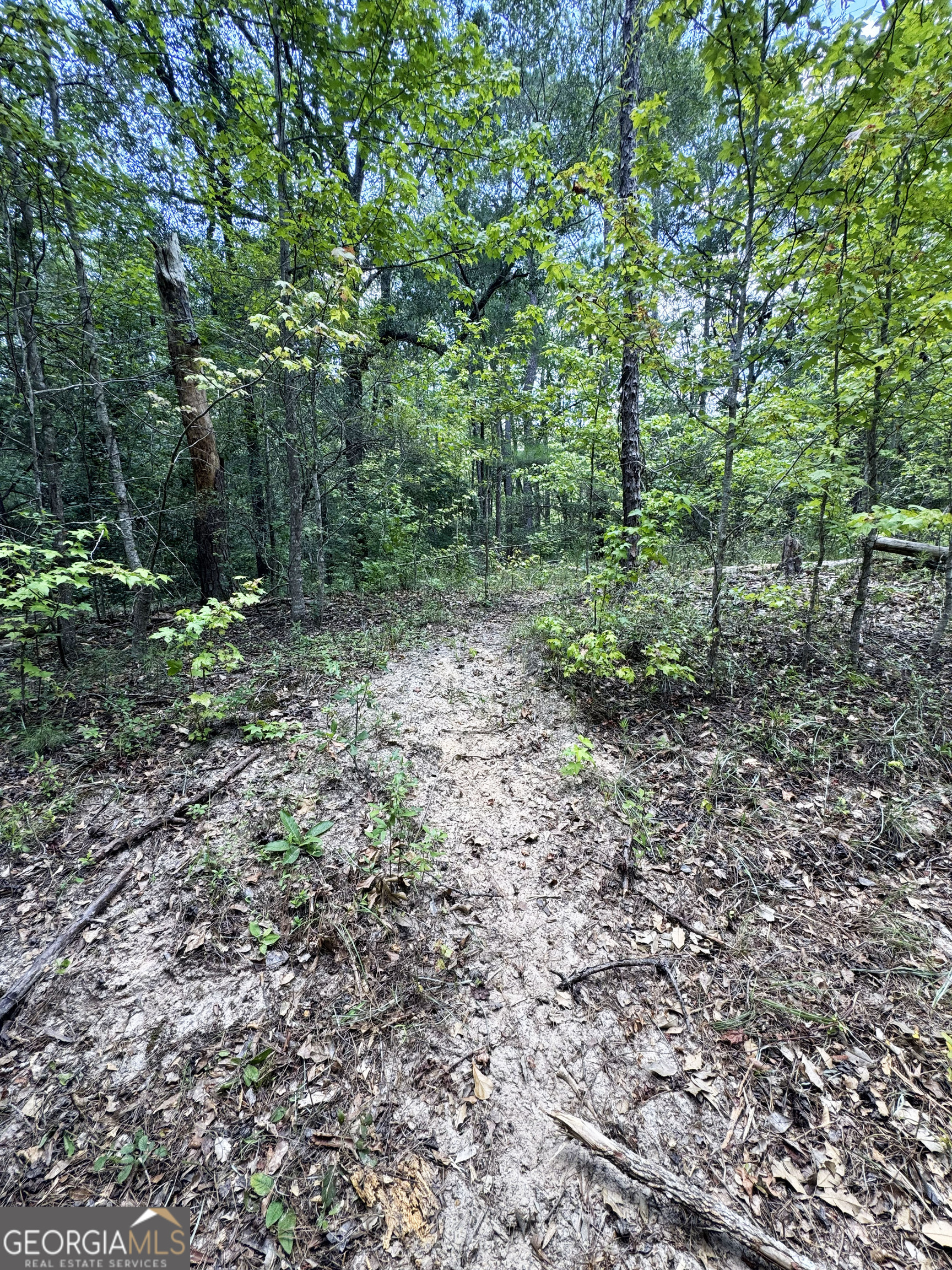 0 Wooten Road Cuthbert GA 39840