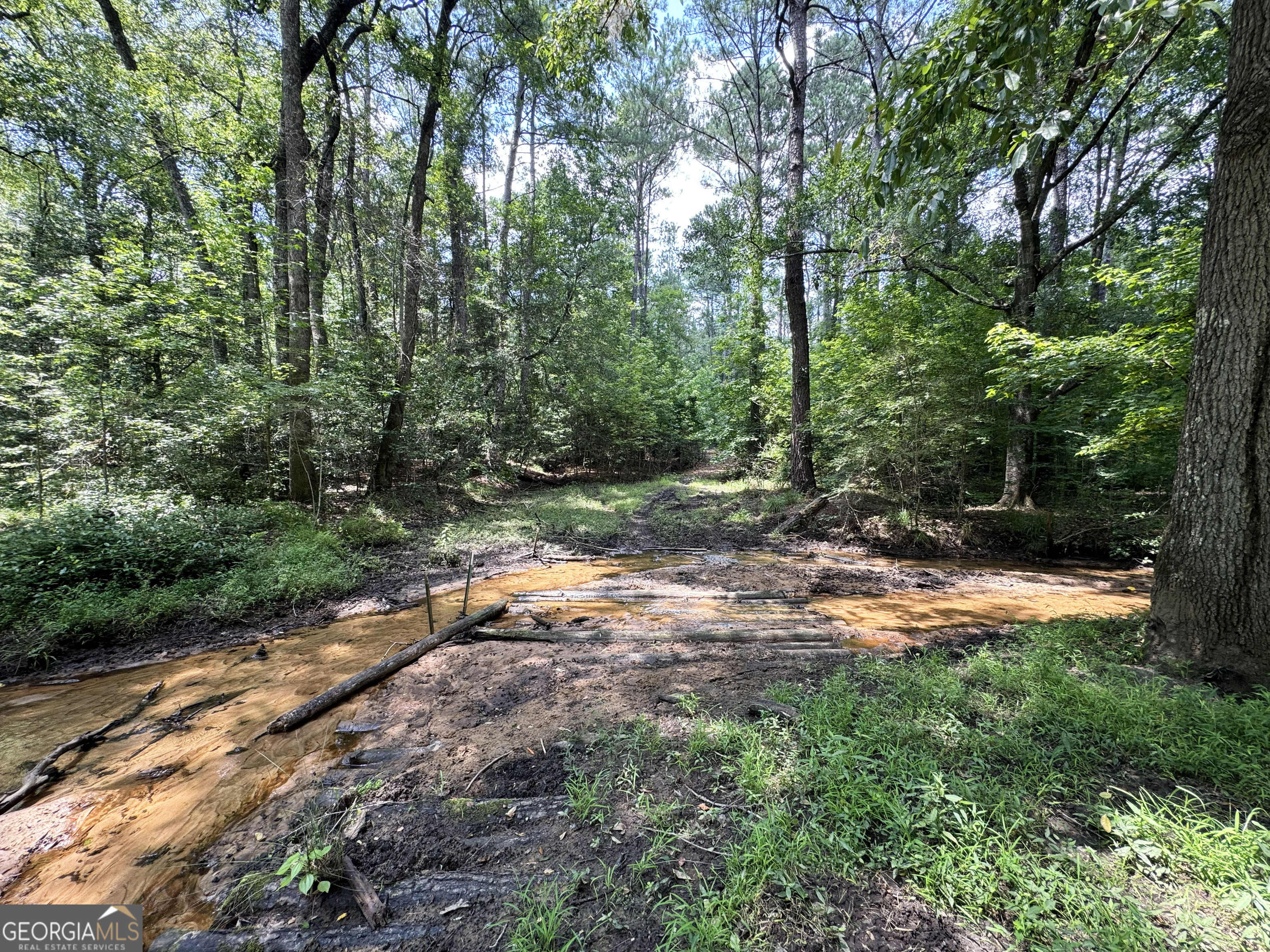 0 Wooten Road Cuthbert GA 39840