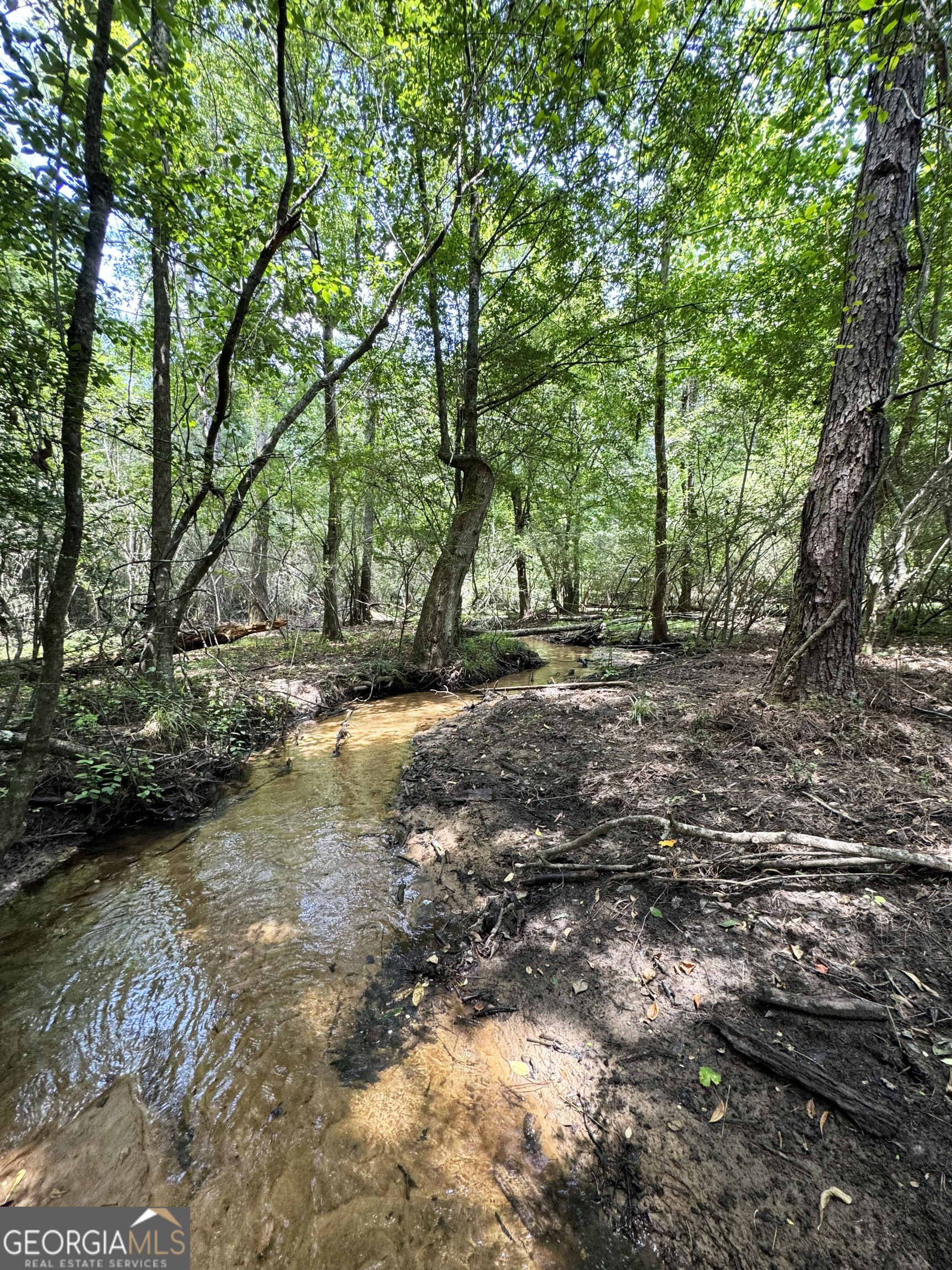 0 Wooten Road Cuthbert GA 39840