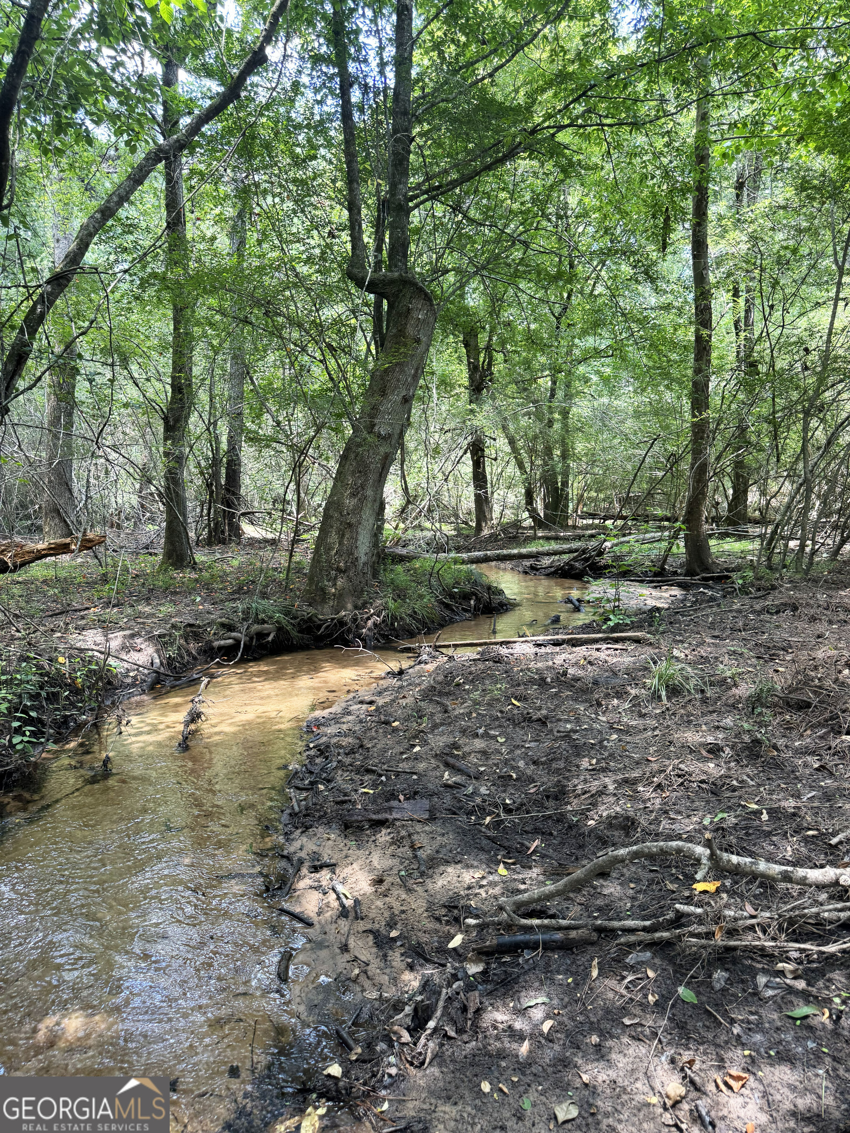 0 Wooten Road Cuthbert GA 39840