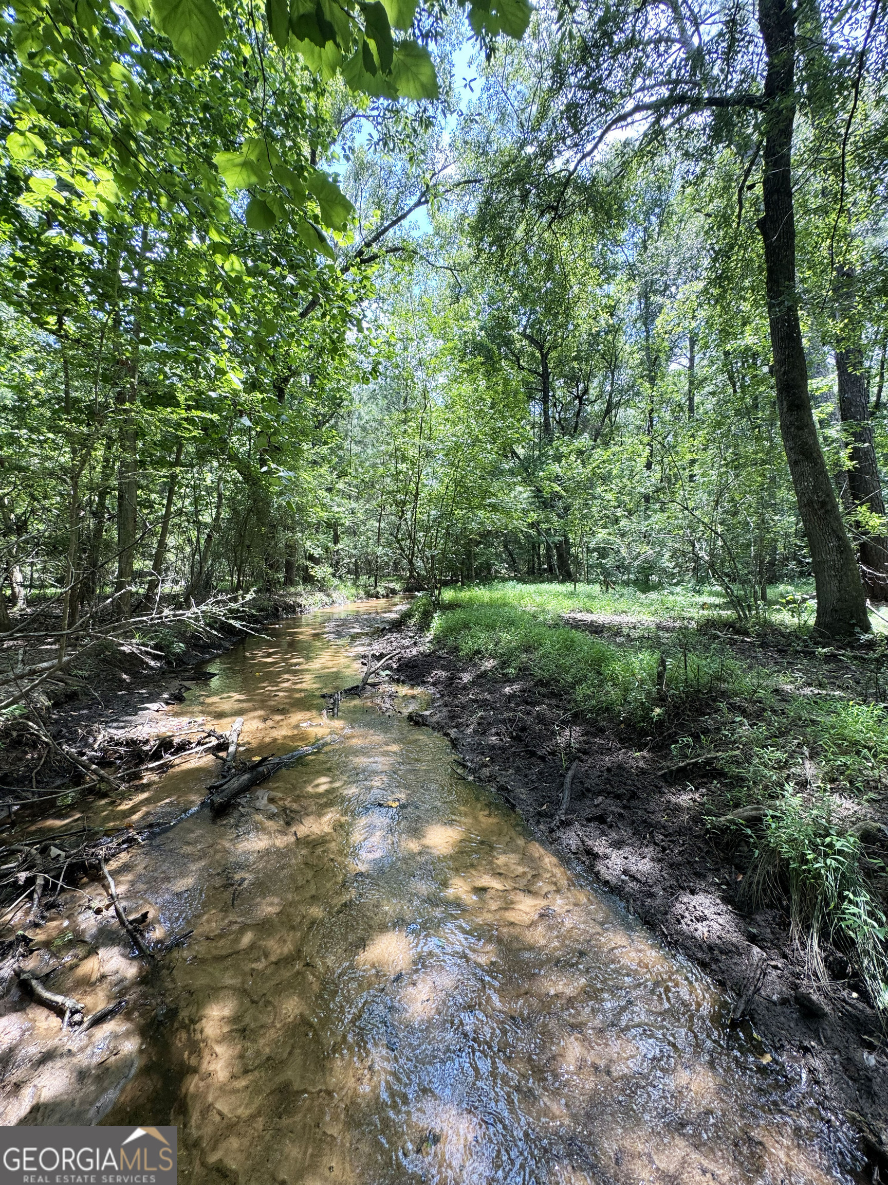 0 Wooten Road Cuthbert GA 39840
