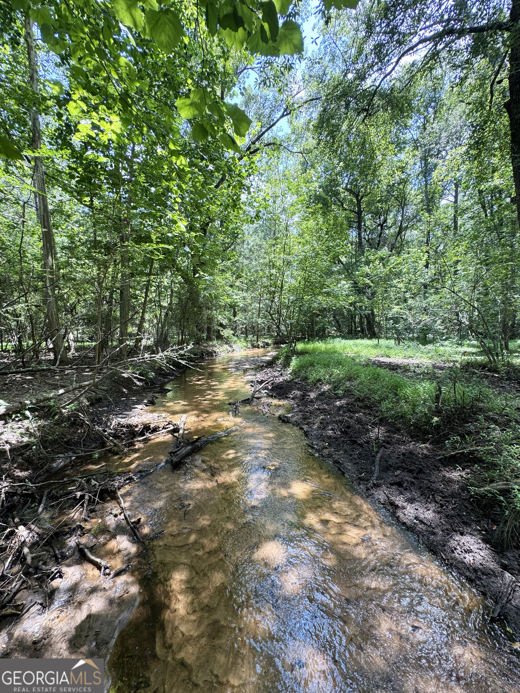 0 Wooten Road Cuthbert GA 39840